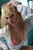 wet girl get wet wet hair fully clothed dress underwear high heels shower