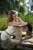 wet girl get wet wet hair swim fully clothed top pants high heels lake
