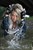 wet girl get wet wet hair swim fully clothed denim jacket jeans t-shirt leather jackboots river