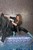 wet girl get wet wet hair swim fully clothed leather jacket jeans scarf t-shirt shoes pool