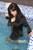 wet girl get wet fully clothed jacket shorts stockings sexy top boots poo