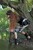 wet girl get wet wet hair swim fully clothed blouse skirt leggings high heels shoes evening gloves lake