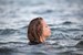 wet girl get wet wet hair jeans blouse high heels sandals sea