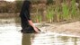 photo wetlook video mini ag poster