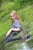 wet girl get wet wet hair fully clothed leggings tights blouse high heels lake