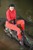 wet girl get wet swim fully clothed wet hair jacket blouse tight pants tights high heels lake