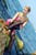 wet girl get wet swim fully clothed cocktail dress stockings evening gloves stockings high heels shoes sea