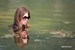 wet girl get wet wet hair swim fully clothed dress stockings high heels shoes lake