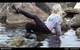 wet woman get wet fully clothed blouse leggings shoes sea