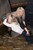 wet girl get wet fully clothed blouse jeans denim shorts stockings shoes high heels lake