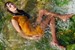 wet girl get wet wet hair dress stockings shoes high heels sea