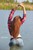 wet girl get wet wet hair swim fully clothed jeans shirt sneakers lake