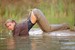 wet girl wet hair get wet denim jacket stockings high heels water lake