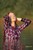 wet girl wet hair get wet swim fully clothed shirt jeans sneakers lake