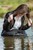 wetfoto wet fully clothed girl in the lake