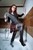 wet girl wet hair get wet fully clothed outfit jacket shirt skirt stockings shoes high heels bath shower