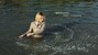 blonde wet girl swim fully clohed wet hair blouse skinny jeans jacket high heels lake