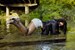 wetfoto wetlook flexible fully clothed girl dancing water