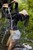 wetfoto wetlook flexible fully clothed girl dancing water