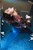 wetlook underwater girl wet skinny jeans sexy bodysuit wetfoto