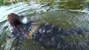 wetfoto video preview ag poster