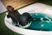 wetfoto model in elegant business suit gets completely wet in bath