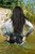 wetfoto wetlook girl in wet and dirty levis jeans