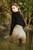 wetfoto wetlook model moms jeans gets completely wet