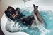 wetfoto wetlook girl soaking wet dress pantyhose bath