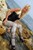 wet girl get wet wet hair fully clothed dress stockings high heels shoes sea