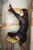 wet girl get wet fully clothed lacquer jacket fishnet tights high-heeled sandals wet hair spa