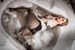 wetfoto wet black tights wetlook