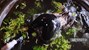 wetfoto video preview ag poster