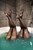 two wet jeans girls wetfoto