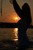 wet girl wet hair get wet swim fully clothed sexy dress high heels fully soaked river