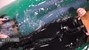 wetfoto video preview ag poster